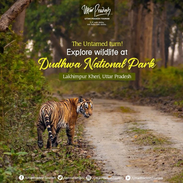 Dudhwa National Park - Uttar Pradesh